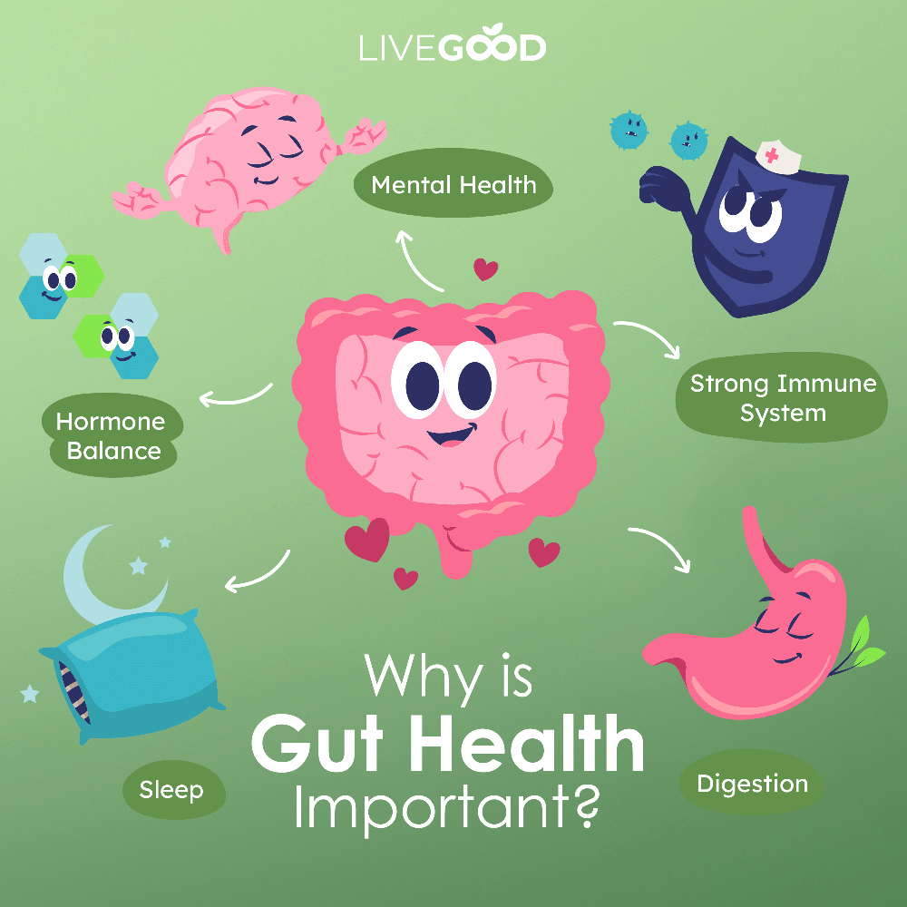 Probiotic Gut Support